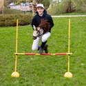 Hobby Horse Skippi - Biszkopt - duży koń na kiju - A3 - kantar w zestawie