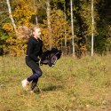 Zestaw Skippi - Hobby Horse Gniady - Derka fuksja i granat - Kantar szary